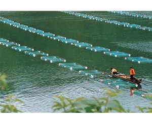 蕪湖魚塘養殖